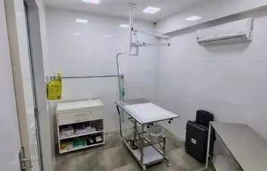 Imagem 5: Petshop em Águas Claras - Ponto comercial com estrutura