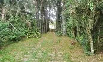 Imagem 2: Sítio para Venda - 200m², 3 dormitórios, sendo 1 suites, 3 vagas - Lageado