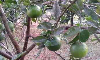 Imagem 6: Linda Casa em região de chácaras