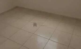 Imagem 6: OPORTUNIDADE!!! Apartamento com 2 dormitórios