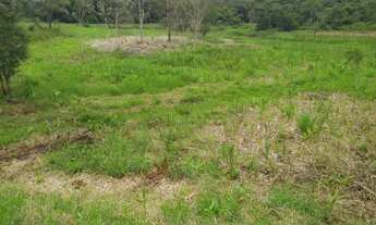 Imagem 2: Terreno Morretes p/ formação de chácara em