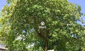 Imagem 7: Casa para alugar no bairro Itapuama - Cabo de Santo Agostinho/PE