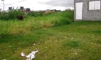 Imagem 3: Vendesse terreno na fazendinha na rua 7