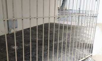 Imagem 5: Apartamento 2 Dormitórios Quadra Mar Centro Mobiliado