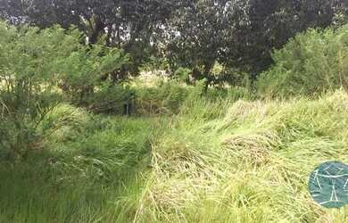 Imagem 2: MONTE ALEGRE - Fazenda - Arena