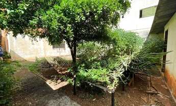 Imagem 6: CASA 3 DORMS, 1 SUITE-BAIRRO PRESIDENTE MEDICE