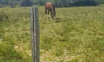 Imagem 5: Lindo sítio medindo 1400m2
