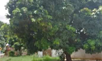 Imagem 2: Cada no Jd Silva Regina