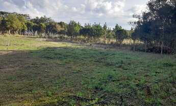 Imagem 2: Excelente Chacara com 5.000 m2 em condominio sol nascente 265.000