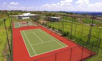 Imagem 6: Terreno Terras Alpha