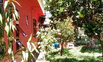 Imagem 2: Sitio com 2.08 Alqueires com Café em São Sebastião do Paraiso