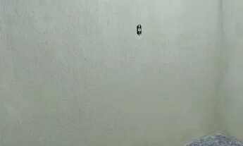 Imagem 3: Aluguel de kitnet