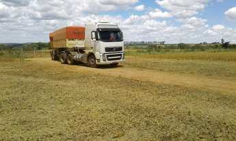 Imagem 7: FAZENDA PRODUTIVA COM 472HECTARES, HA 55KM DE UNAI!!