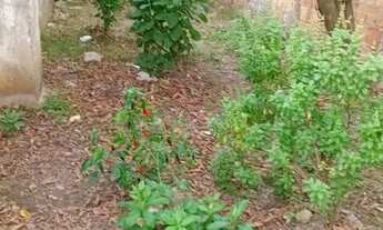 Imagem 4: Estou vendendo essa casa na Baixada fluminence Cabuçú Nova Iguaçú