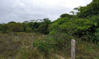 Imagem 2: Sítio praia do abais excelente localização