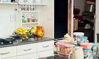 Imagem 6: Monte Castelo Casa com 2 dormitórios