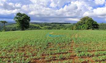 Imagem: Sítio à venda, 9 alqueires por R$ 1.400.000