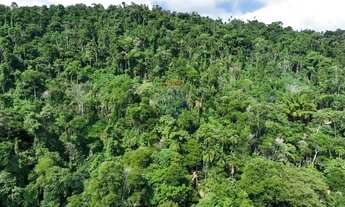 Imagem 5: Seu Refúgio no Paraíso: Terreno em Ilhabela