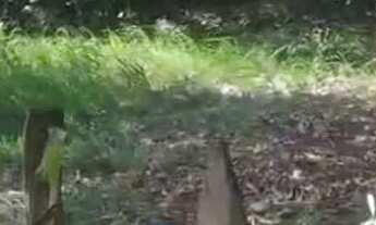 Imagem 5: VENDE-SE TERRENO EM BOMFIM!