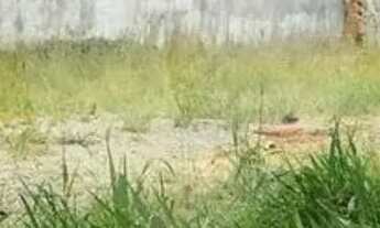 Imagem: Terreno à venda em Vila Madalena - SP