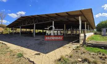 Imagem 5: Fazenda 15,67 alqueires (75,84 hectares) Hidrolândia - Go