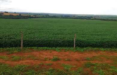 Imagem 4: Fazenda a venda Fazenda / sítio com venda por R$48.500.000