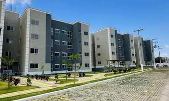 Imagem 5: Passo chave arvores 2 / pronta entrega