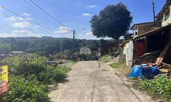 Imagem 7: Vendas Terreno Almirante Tamandaré PR