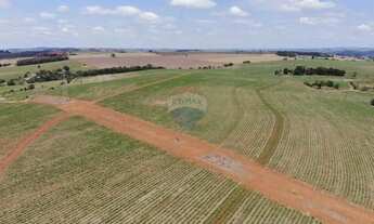 Imagem 6: Fazenda em Tatuí-SP 306,67 Hectares ou 126,7 Alqueires, Arrendada com Cana