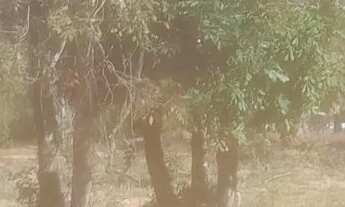 Imagem 2: Chacara rural no sítio novo