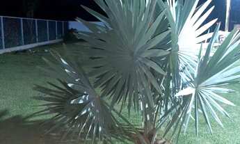 Imagem 2: VENDO CHÁCARA DOURADINHO