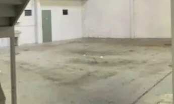 Imagem 5: GALPÃO - BUTANTÃ - SP