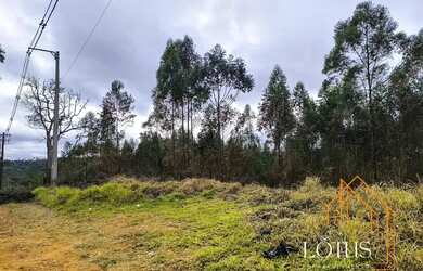 Imagem: TERRENO EM COTIA OPORTUNIDADE!