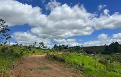 Imagem 4: Terreno barato com doc ok e muita natureza