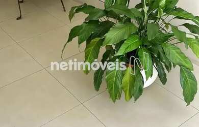 Imagem 4: Venda Apartamento 2 quartos Serra Belo Horizonte