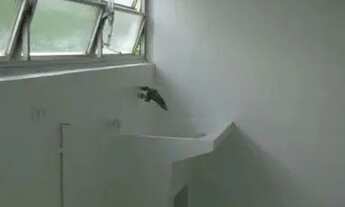 Imagem 7: Apartamento em Alameda Joaquim Eugênio de Lima - Jardim Paulista - São Paulo/SP