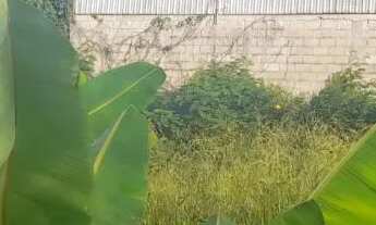 Imagem 5: Terreno na praia do riacho