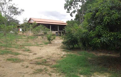 Imagem 4: Maravilho Sitio de 5.000 m², Jaboticatubas (temos varias opções