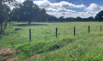 Imagem 6: Chácaras Bonanza - 10.000 mts