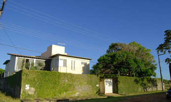 Imagem 6: Matapua mosqueiro