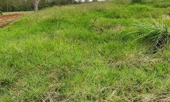 Imagem 3: Vende-se Terreno a Beira da Represa em Carlópolis PR