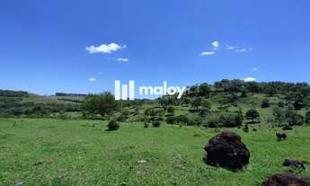 Imagem 7: Fazenda para Venda em Vera Cruz do Oeste, Zona Rural