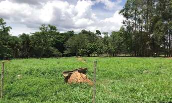 Imagem 2: Chácara 2 alqueires Município de Bela Vista Goias