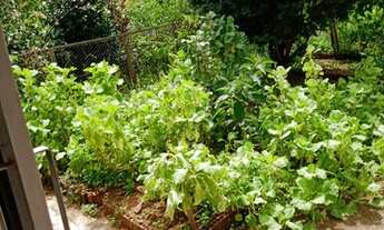 Imagem 4: SITIO ITAGUARA - 30.000M² - 3 QUARTOS, CURRAL, LAGOA