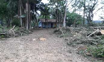 Imagem 7: Eldorado - Fazenda - Vergueiro