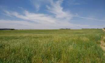 Imagem 2: Lapa - 191 hectares - Alta Produtividade - Plantando 80