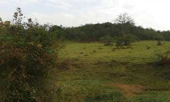 Imagem 2: Área residencial à venda, Pedregulho, Itu