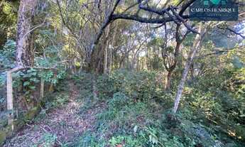 Imagem 3: Chácara com 1 dormitório à venda, 9000 m² por R$ 350.000,00 - Rio Acima - Bragança Paulist