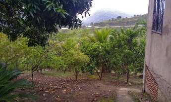 Imagem 5: Sítio com plantação para venda