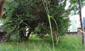 Imagem 3: Porto Alegre - Terreno Padrão - Tristeza
